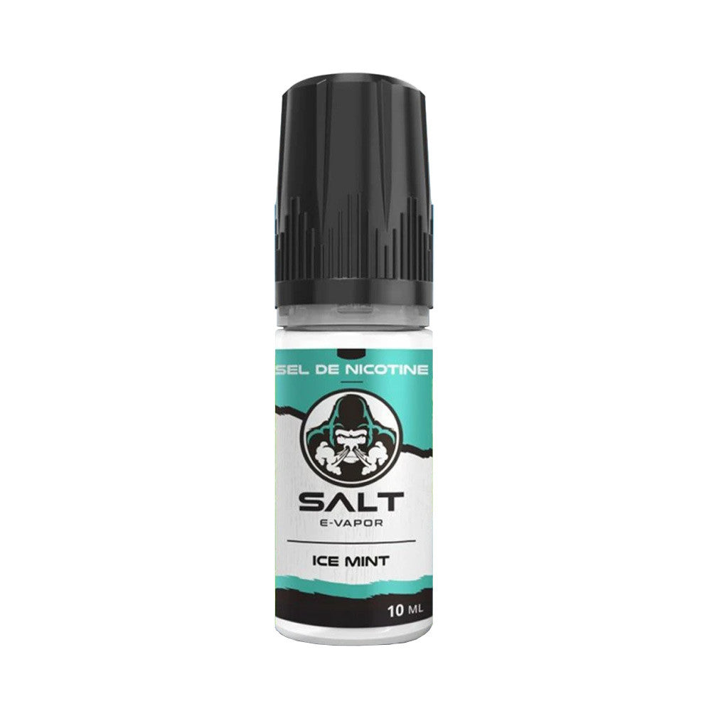 Pack 5 E-liquides Ice Mint 10ml- SALT E-VAPOR