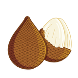 Fruit du serpent