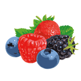 Fruits rouges