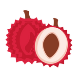 Litchi