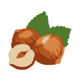 Noisette