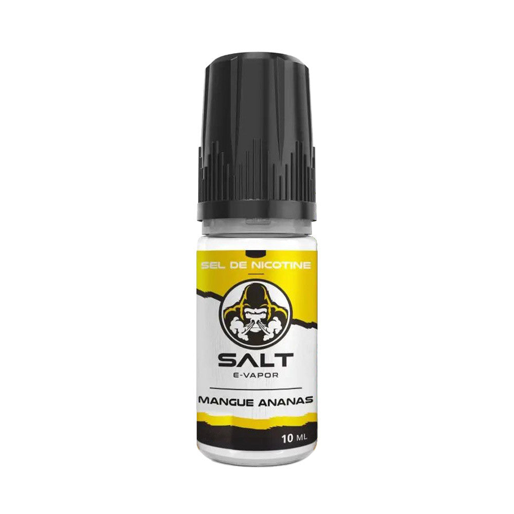 Pack 5 E-liquides Mangue Ananas 10ml- SALT E-VAPOR